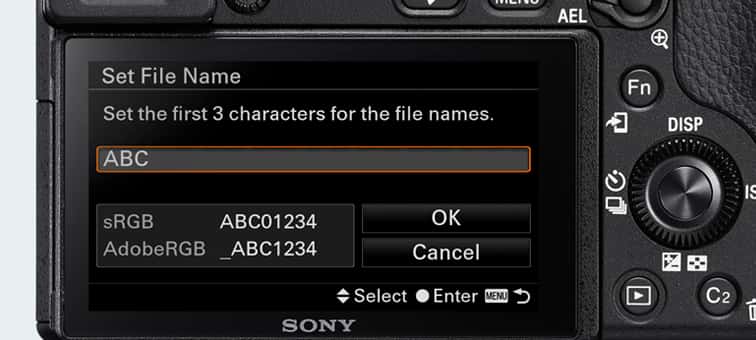 ILCE-6300 / ILCE-6300L / ILCE-6300M Specifications | Cameras